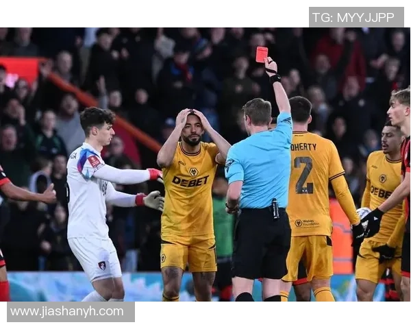 狼队对阵埃弗顿精彩视频直播全程回顾与赛后分析